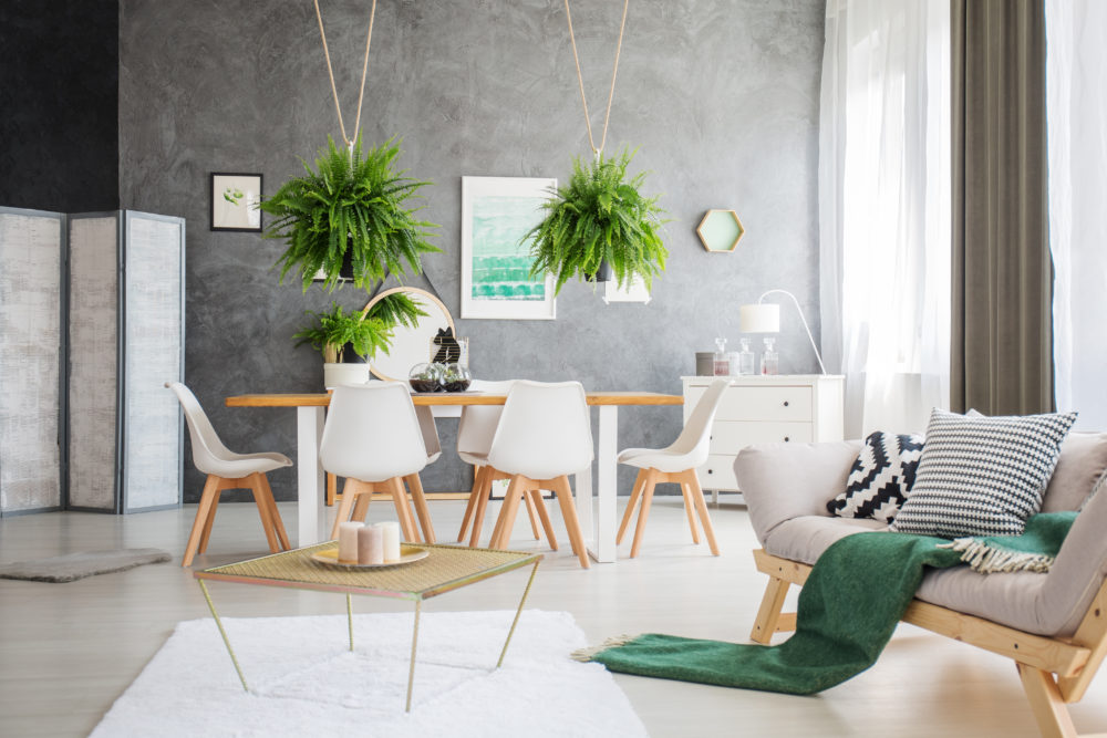Zielone dekoracje #1 – rośliny, które ozdabiają wnętrze mieszkania