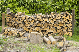Drewno w ogrodzie — przechowywanie, konserwacja