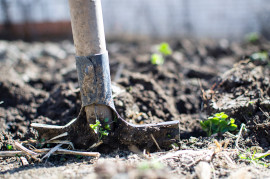 Jak przygotować narzędzia ogrodnicze do sezonu?